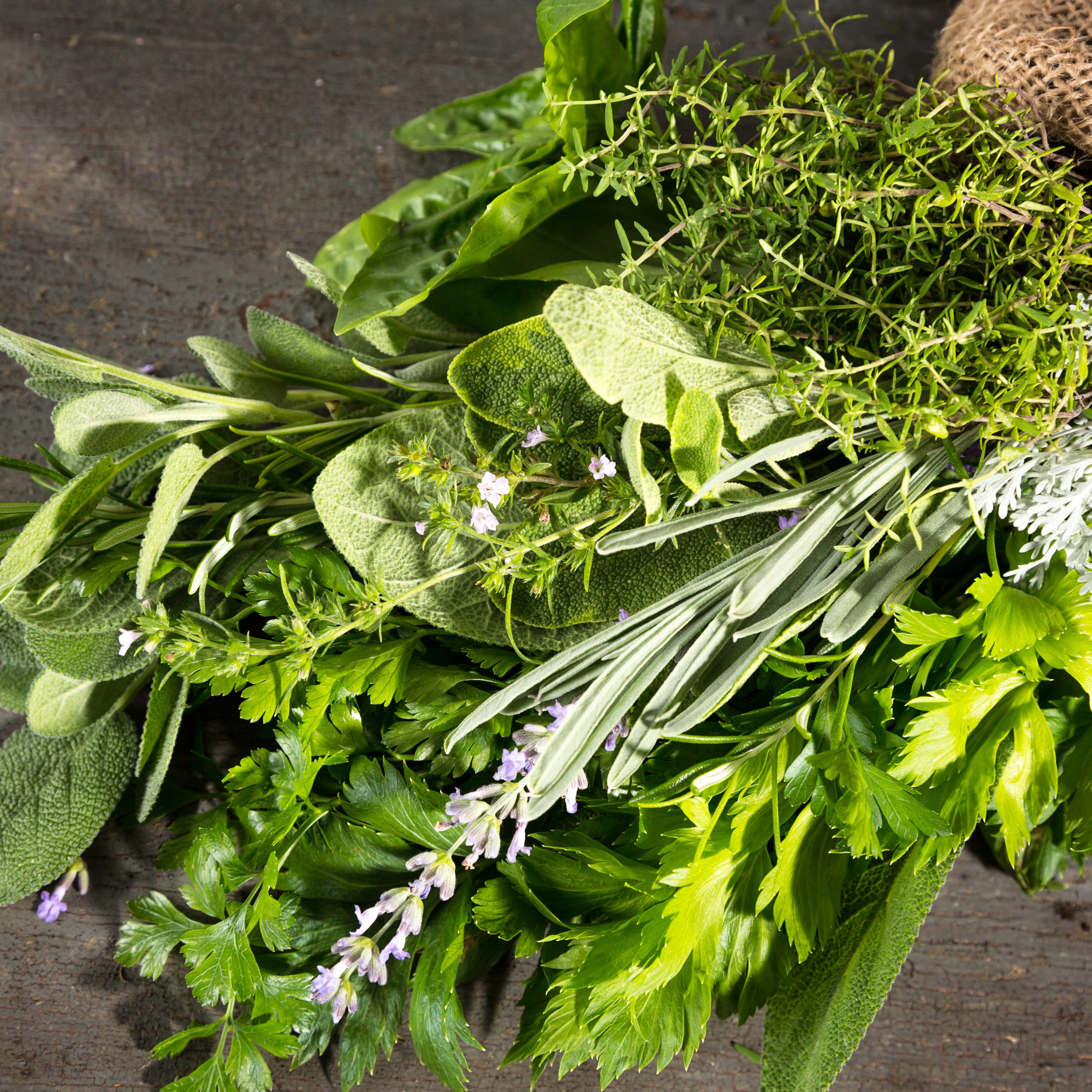 Fresh herbs on old wooden table.