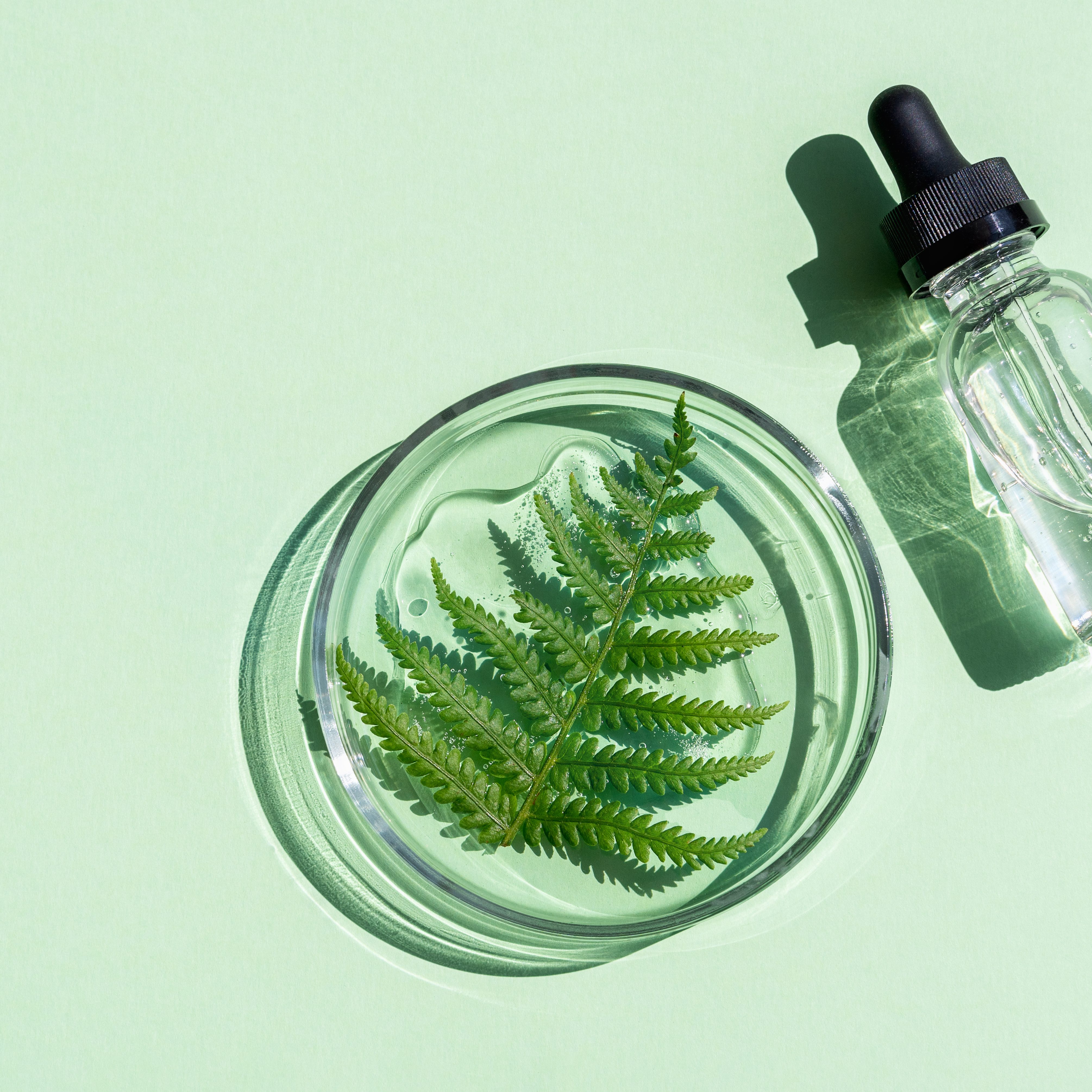 Flat lay of cosmetics serum and and laboratory glassware with fresh leaves of fern on bright green background. Organic cosmetics. Top view flat lay, copy space. Cosmetics, SPA branding, mock-up.